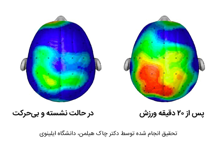 brain-activity-exercise-m
