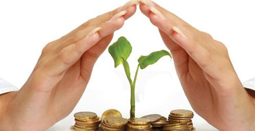 پوشش بیمه ای گواهی حلال برای اولین بار در ایران