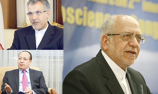 نعمتزاده: آغاز فاز جدید همکاریهای تجاری ایران و افغانستان