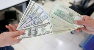 تهدید یک وزیر بازار ارز را تکان داد