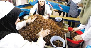 پایانه‌های تخصصی عامل رشد صادرات