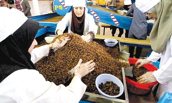 پایانههای تخصصی عامل رشد صادرات