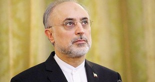 مسئولیت بعد فنی «برجام» را می‌پذیرم