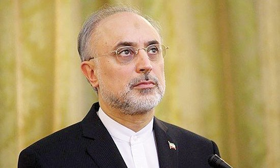 مسئولیت بعد فنی «برجام» را میپذیرم