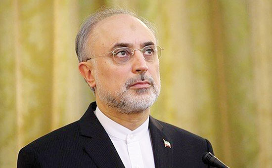 مسئولیت بعد فنی «برجام» را می‌پذیرم