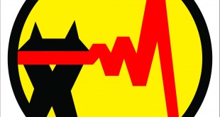 پاداش 100 میلیارد تومانی وزارت نیرو به صنایع همکار