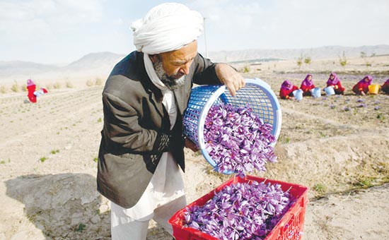 شکوفایی صادرات خراسان رضوی با کاهش نرخ ارز