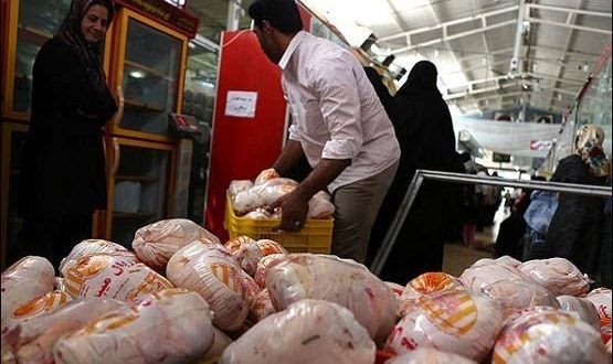 توزیع مرغ منجمد در بازار کرمانشاه در صورت افزایش قیمت