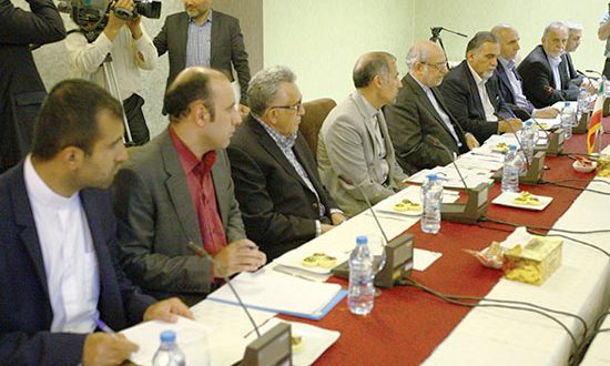 ایران- گینه در انتظار گزارش مشاور