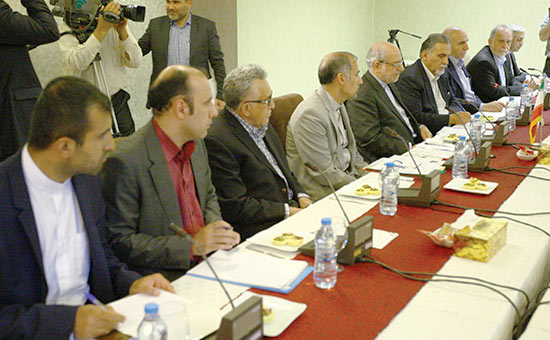 ایران- گینه در انتظار گزارش مشاور