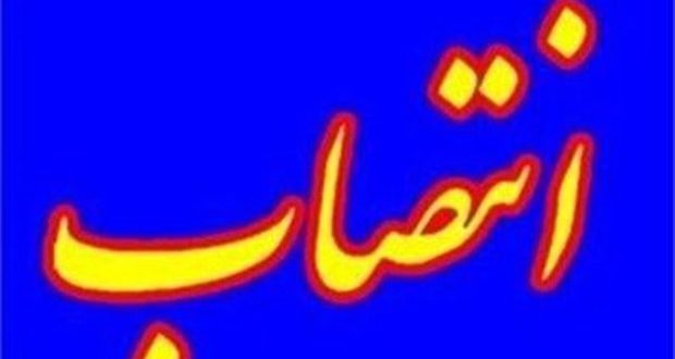 جزئیات تغییر آرایش جدید اعضای هیات مدیره پتروشیمی