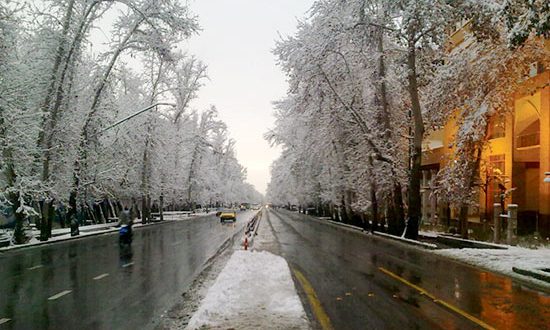 تجارت در طولانیترین خیابان خاورمیانه