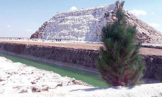 تصویب طرح توسعه مجتمع پتاس خور و بیابانک