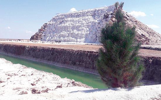 تصویب طرح توسعه مجتمع پتاس خور و بیابانک