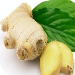 ادویه های مفید برای مغز