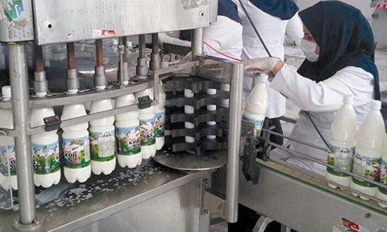 افزایش محصولات لبنی و کشاورزی در سبدصادراتی مازندران