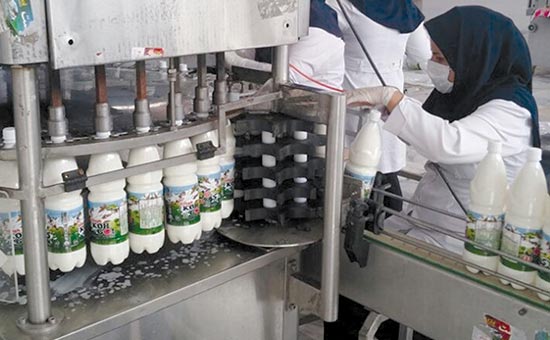 افزایش محصولات لبنی و کشاورزی در سبدصادراتی مازندران