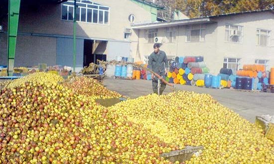 مرکبات مازندران جایگاه صادراتی پیدا میکند