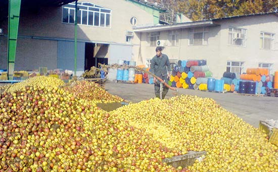 مرکبات مازندران جایگاه صادراتی پیدا می‌کند