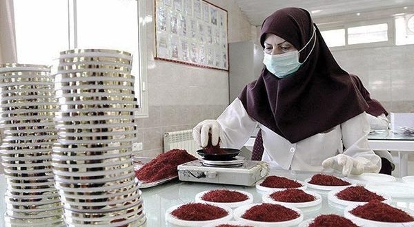 بستهبندی، چشم اسفندیار زعفران ایرانی