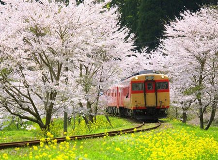 بهترین کشورهای جهان برای مهاجران