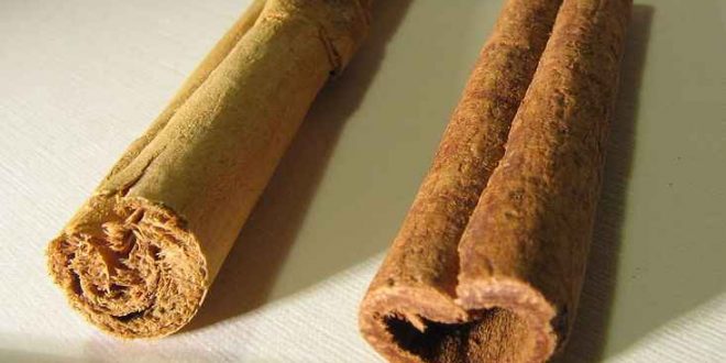حقایقی راجع به خواص شگفت آور دارچین اصل و مضرات دارچین کاسیا