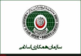 کوگر: ایران از سازمان‌ همکاری اسلامی اخراج شود