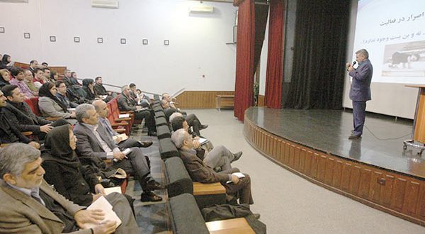 استارت آپها چه کم دارند؟