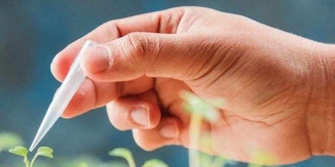 معاون رییس جمهوری: درباره محصولات تراریخته در غذا همانند معرفی دارو حساسیم