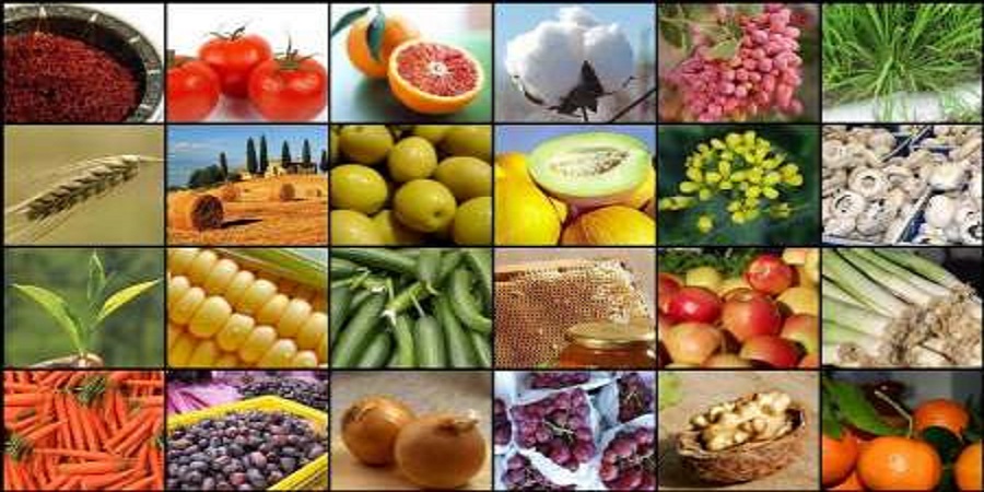 تداوم تیرگی روابط تجاری روسیه و ترکیه