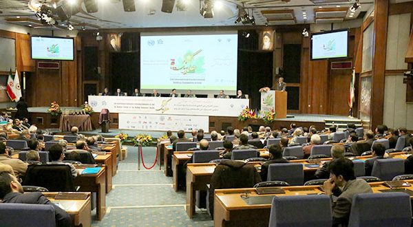 هلدینگ، جداسازی مالکیت از مدیریت