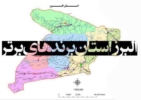 برندهای برتر البرز، ظرفیت حضور در بازارهای جهانی