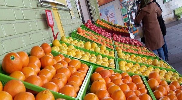 صدور مجوز واردات نارنگی در روزهای آینده/آواکادوی قاچاق جمع می شود