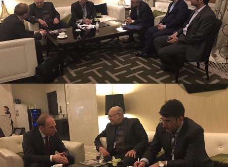 نعمت زاده با مدیران شرکت ها و سرمایه گذاران روسی مذاکره کرد