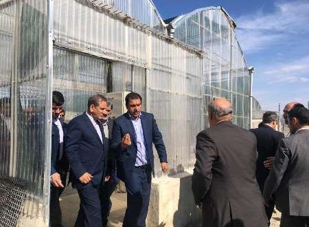 بازدید جهانگیری از چند مرکز کشاورزی و تولیدات صنعتی در رباط کریم
