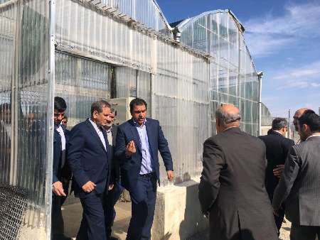 بازدید جهانگیری از چند مرکز کشاورزی و تولیدات صنعتی در رباط کریم