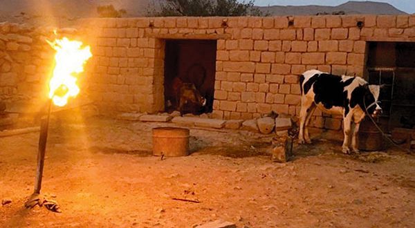به «نفت سفید» خوش آمدید