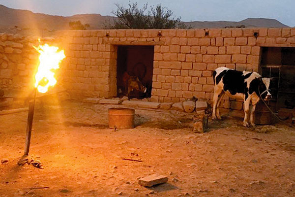 به «نفت سفید» خوش آمدید
