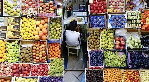 بخشنامه ضوابط جدید صادرات و واردات میوه