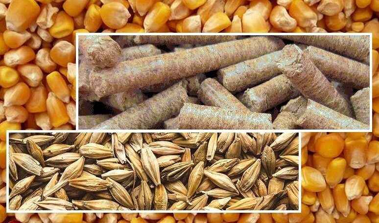 نرخ محاسبات حقوق ورودی نهاده‌های دامی و کالاهای اساسی تغییر کرد
